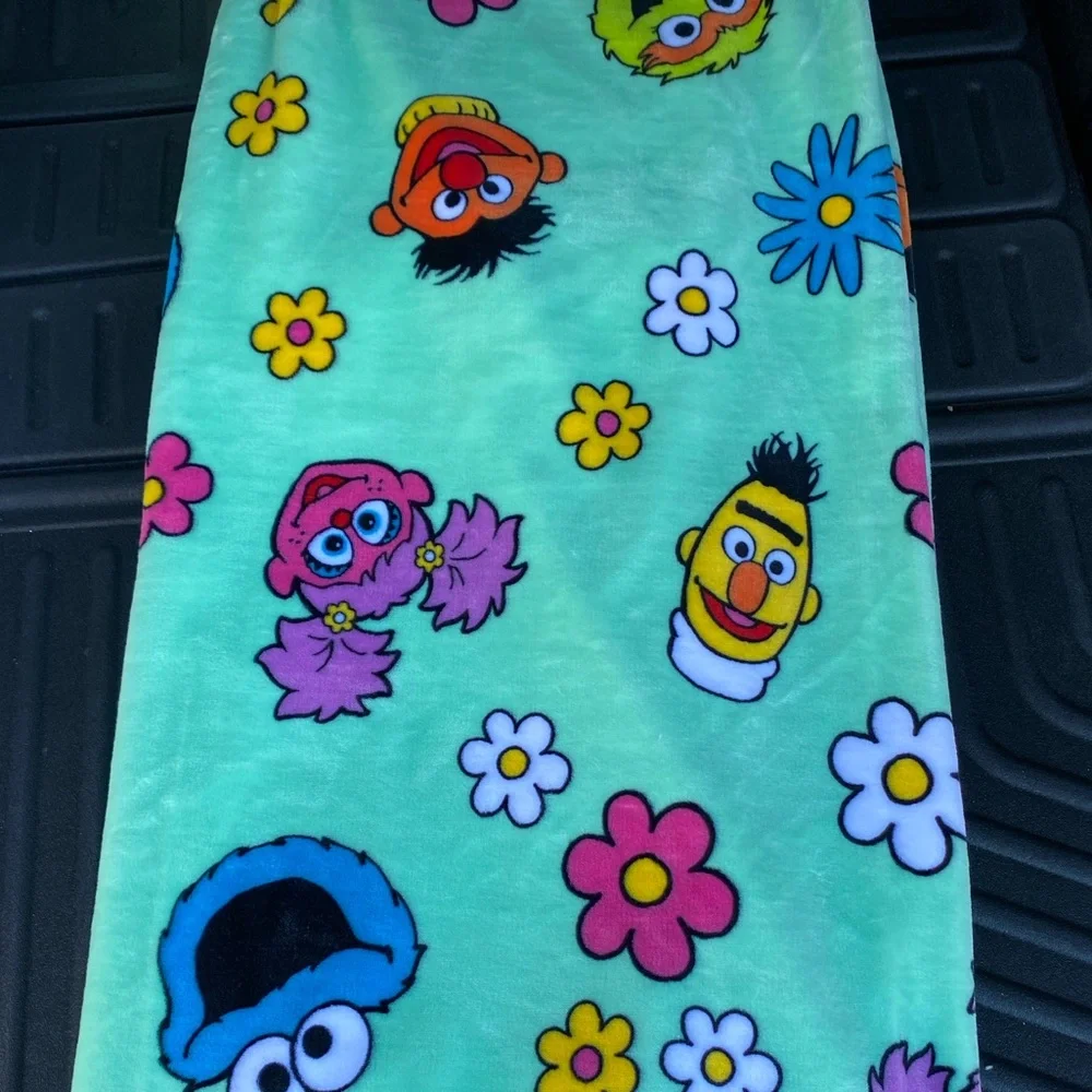 Sesame Street oversize plush throw -incredibly soft!  Brand new 60”x70” LAST ONE